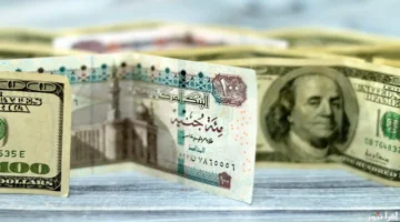 سعر الدولار اليوم في مصر يتراجع طفيفًا وسط إجراءات البنك المركزي لامتصاص السيولة